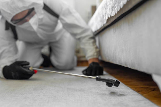 Professional Bed Bug Control technician working in Powhatan County County, VA